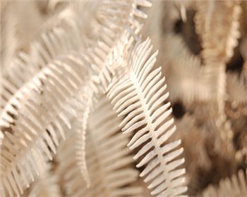 空氣改善需要靠污染源才能進(jìn)行轉(zhuǎn)移，這個(gè)真不能這樣下結(jié)論