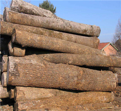 怎么樣才能打造出精致的木制托盤，以下這些是重點